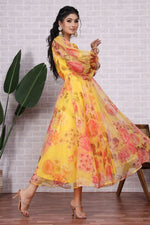 Organza Floral Printed Dress