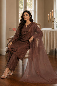 Brown Elegance Embroidered Suit Set