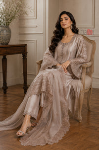 Champagne Elegance Embroidered Suit Set