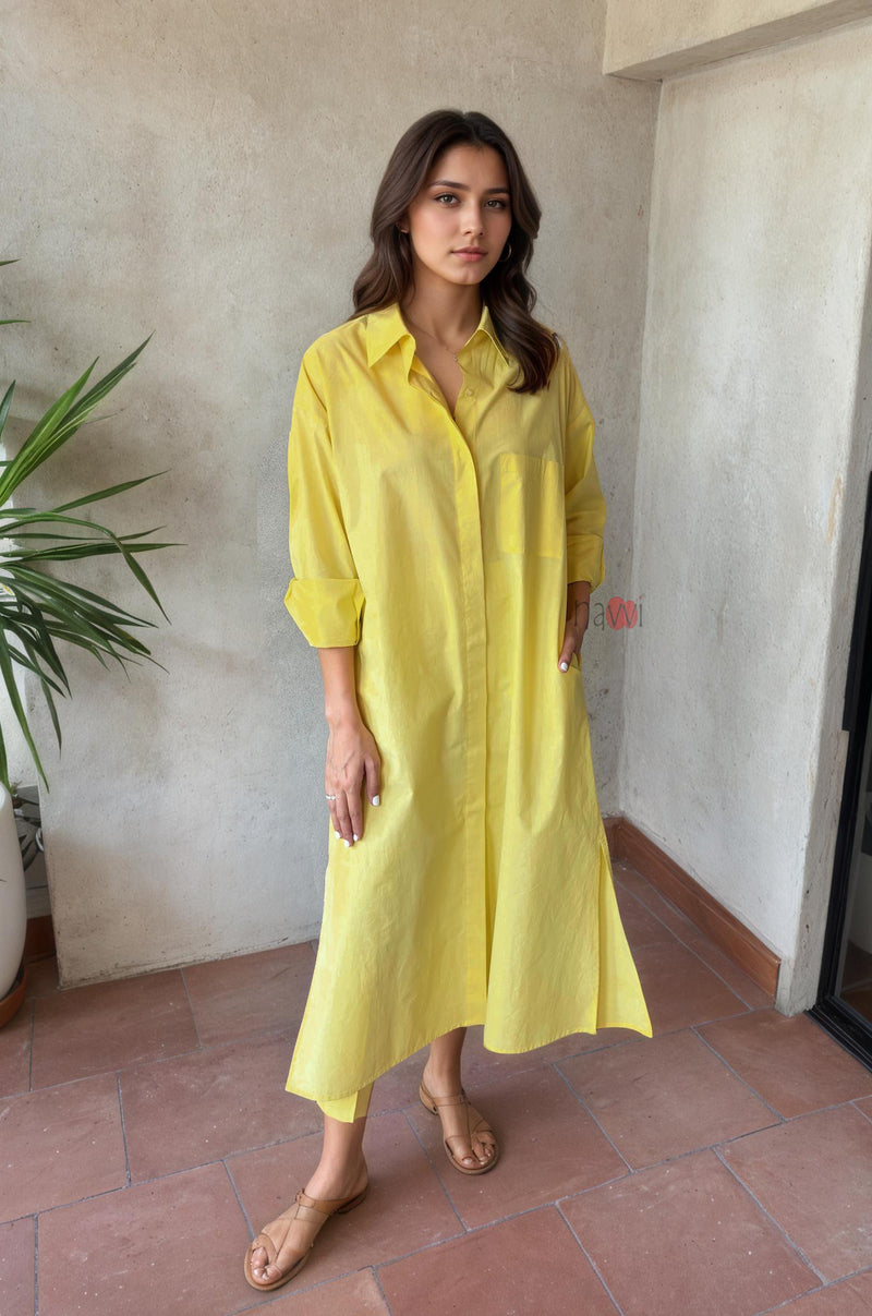 Minimal Chic Shirt Dress with Pants