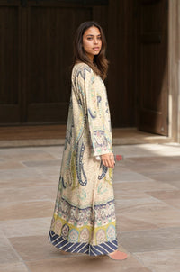 Regal Nomad Paisley Kaftan Dress - Navvi.in