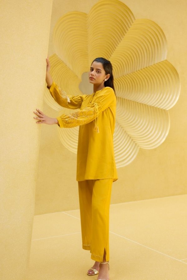 Stylish Yellow Embroidered Co - Ord Set With Pants - Navvi.in