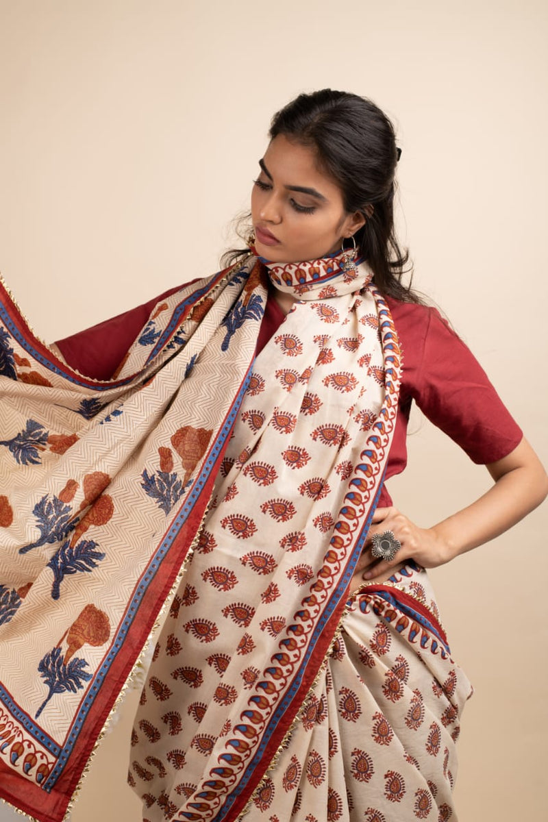 sareelove indianwear ethnicwear navvi navvi.in traditional multicolorsaree cottonsaree sareefashion traditional indianfashion madeinindia sareeindia sareeblouse handloom ethnic sareedraping sareeinstagram sareefashion indianfashionblogger