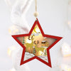 Christmas LED Light- Star